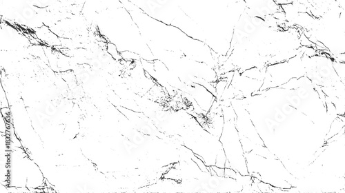 Black and white abstract cracked texture background vector