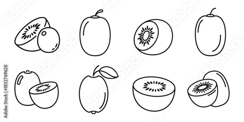 Kiwi line art vector illustration
