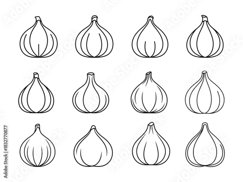 Fig line art vector illustration