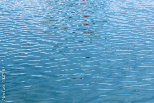 池の水面の波紋模様03