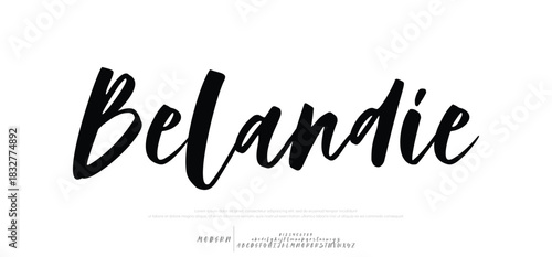 Elegant Font Uppercase Lowercase and Number. Classic Lettering Minimal Fashion Designs. Typography modern serif fonts regular decorative vintage concept. vector illustration