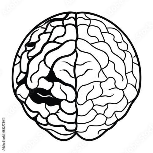 Layered Brain Hemisphere Cutaway with Soft Block Colors