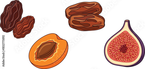 Dried fruit medley raisins dates apricots and figs illustration on white