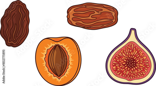 Dried fruits illustration raisin date apricot and fig on white background