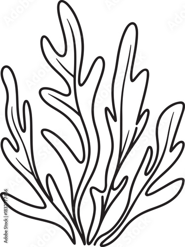 Seaweed Line Art, Coloring Book Page Line Art Drawing, Vector and Illustration