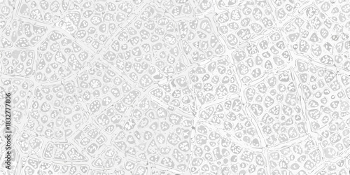 Abstract white and gray organic cell structure background pattern