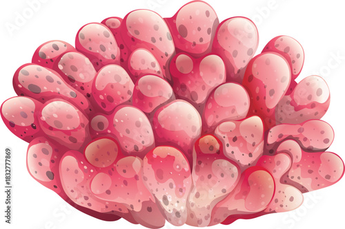 illustration of a red sea sponge