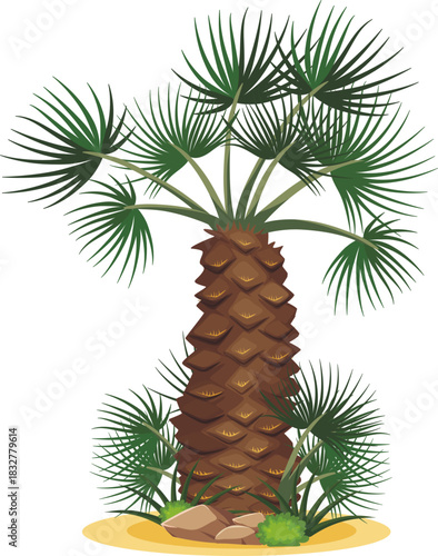pine tree and cones
