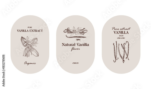 Vanilla labels collection in vintage style