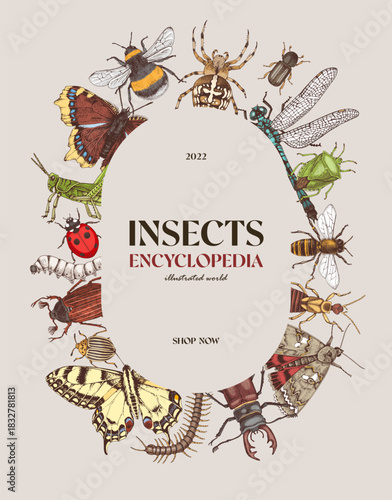 Insects encyclopedia banner page vector