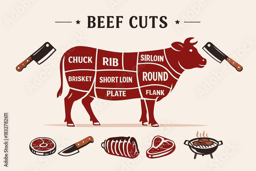 vector illustration of a beef cuts