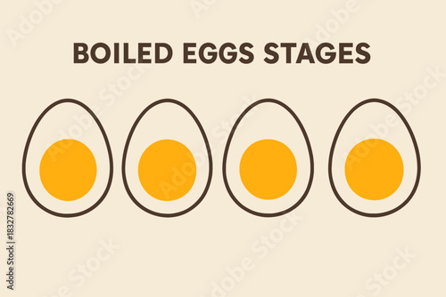 vector illustration of a boiled eggs stages set 
