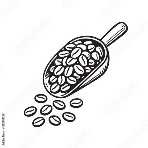 Hand-drawn illustration of coffee beans in a scoop