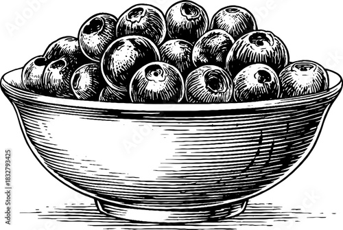 Decorative illustration of a bowl of fresh blueberries in vintage engraving style
