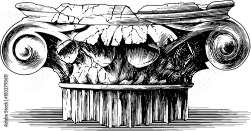 Vintage engraved illustration of a classical circular column capital design for architecture projects