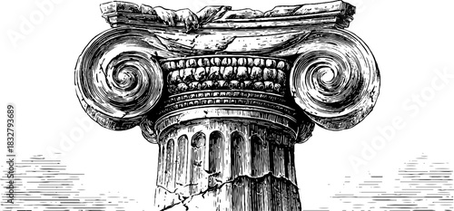 Engraved decorative classical column capital design for architectural inspiration and art projects