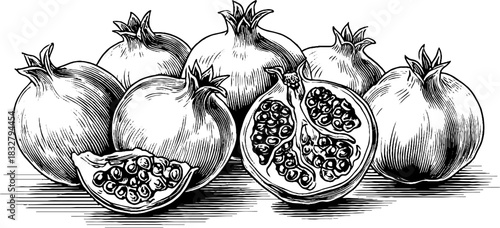 Vintage engraving of ripe pomegranates cluster for decorative design