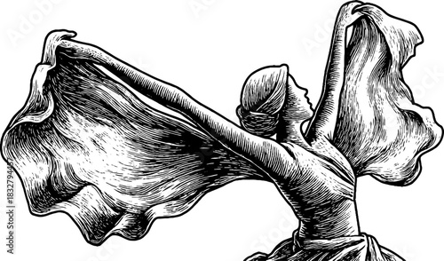 Decorative engraving of dawn breeze spirit in elegant pose for design