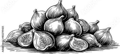 Vintage decorative illustration of ripe figs pile in engraved style for design