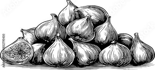 Engraved decorative illustration of heap of ripe figs for culinary art and design