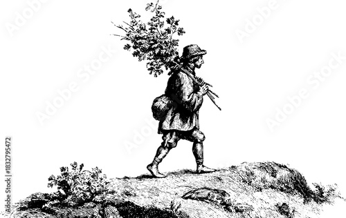 Vintage engraving of herbal collector on hillside for botanical and nature design