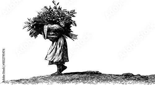 Vintage herbal gathering scene - engraved decorative illustration of hillside harvest