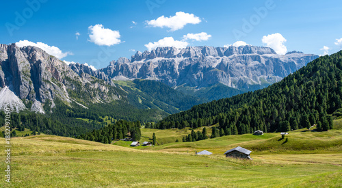 Fototapeta Naklejka Na Ścianę i Meble -  beautiful meadow under Dolomites mountains in South Tirol
