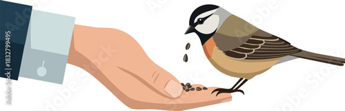 Illustration of a bird eating seeds from a human hand.