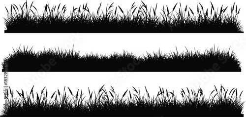 Elegant wild meadow grass silhouette borders for natural designs, perfect for garden themes or rustic invitations, originally scalable vector graphics