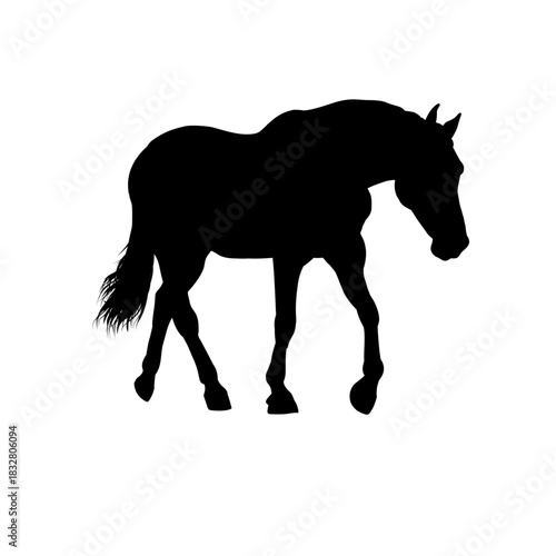  Silhouette of  horse, side view—vector illustration
