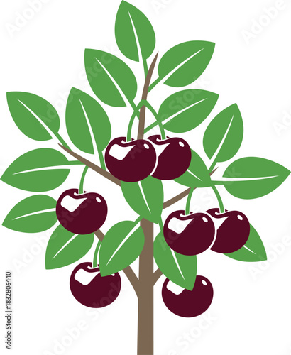 Cherry tree logo. Isolated cherry tree on white background