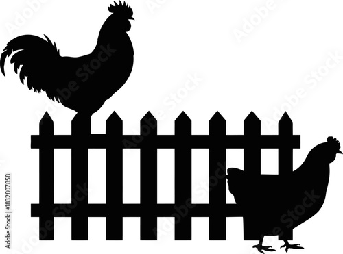 Rooster and Hen on Picket Fence Silhouette