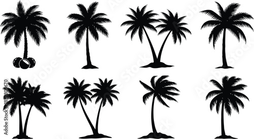Collection of eight black silhouette palm tree icons
