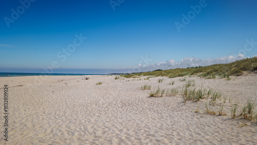 Fototapeta Naklejka Na Ścianę i Meble -  A beautiful, wide beach in Slowinski National Park in Leba, near the shifting sand dunes. Poland