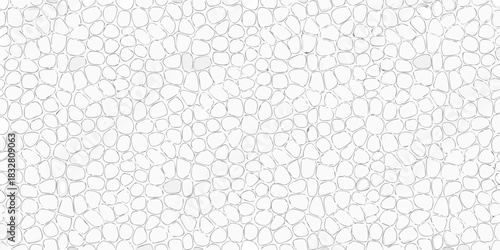 Abstract white cell pattern background with irregular shapes and thin black lines