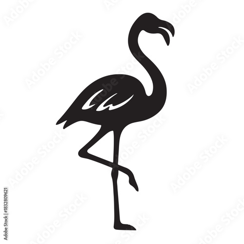 Silhouette of a flamingo standing on one leg bird animal