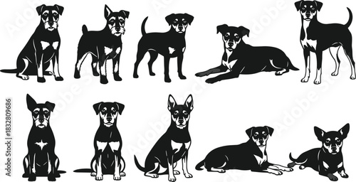 Black dog silhouette collection featuring multiple poses, sitting, standing, and lying positions, domestic pet illustration set for design and decoration