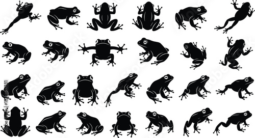 Collection of detailed frog silhouette illustrations showing various poses, movements, and angles, perfect for nature graphics, wildlife designs, and educational projects
