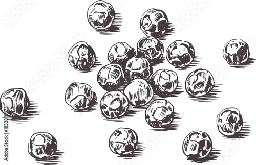 Black and white illustration of peppercorns spice food