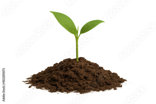 Wallpaper Mural Green seedling growing from soil mound, symbolizing new life, sustainable development, and environmental care Torontodigital.ca