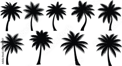 Set of eight black silhouette palm tree icons with various trunk shapes
