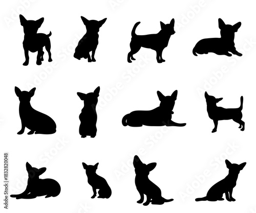 Ciwawa animal poses animal silhouette