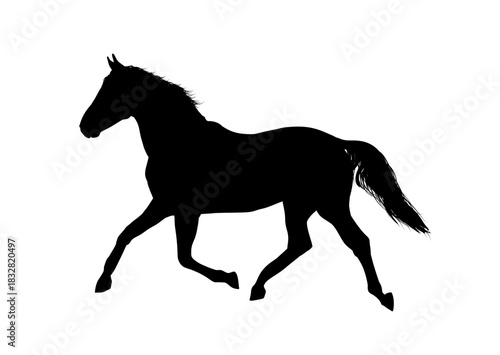 Silhouette of a running horse, side view—vector illustration