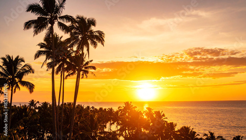 Tropical island sunset with silhouette of palm trees, hot summer day vacation background, golden sky with sun setting over horizon