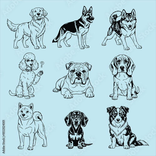 Nine different dog breeds in black outline