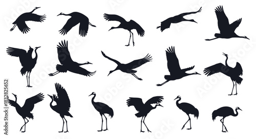 An extensive collection of various black crane silhouettes in dynamic flying landing and standing poses on a white background.