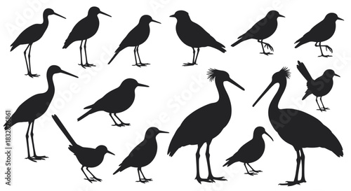A diverse collection of black silhouettes of various bird species including wading birds and songbirds isolated on a white background.