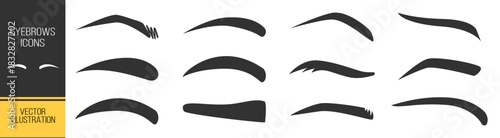 Eyebrow silhouette collection, beauty brows vector set, cosmetic shapes, fashion illustration, face expression elements on transparent background