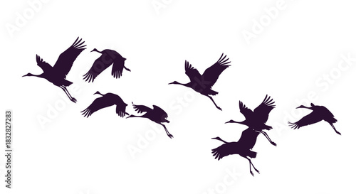 A flock of crane silhouettes flying and landing in a dynamic arrangement of graceful poses isolated on a white background for design.