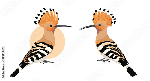 A pair of beautifully illustrated hoopoe birds with prominent crests standing in profile one with a subtle sun background.